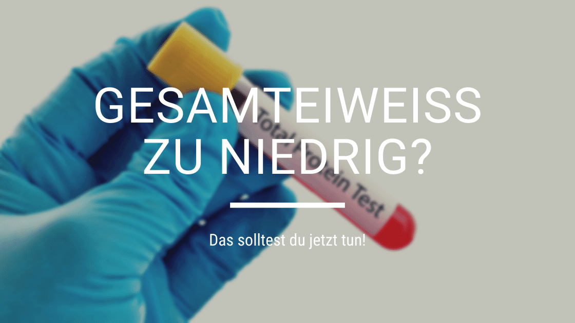 Gesamteiweiß im Blut zu niedrig? Das solltest du jetzt tun! - edubily GmbH