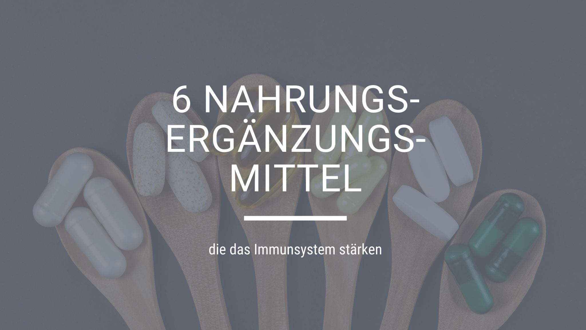 Nahrungsergänzungsmittel