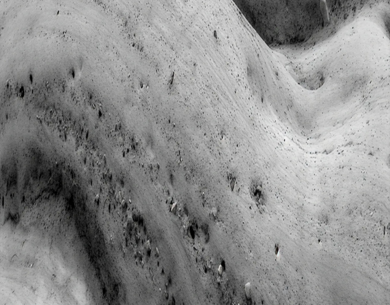 Mineralstoffe & Spurenelemente