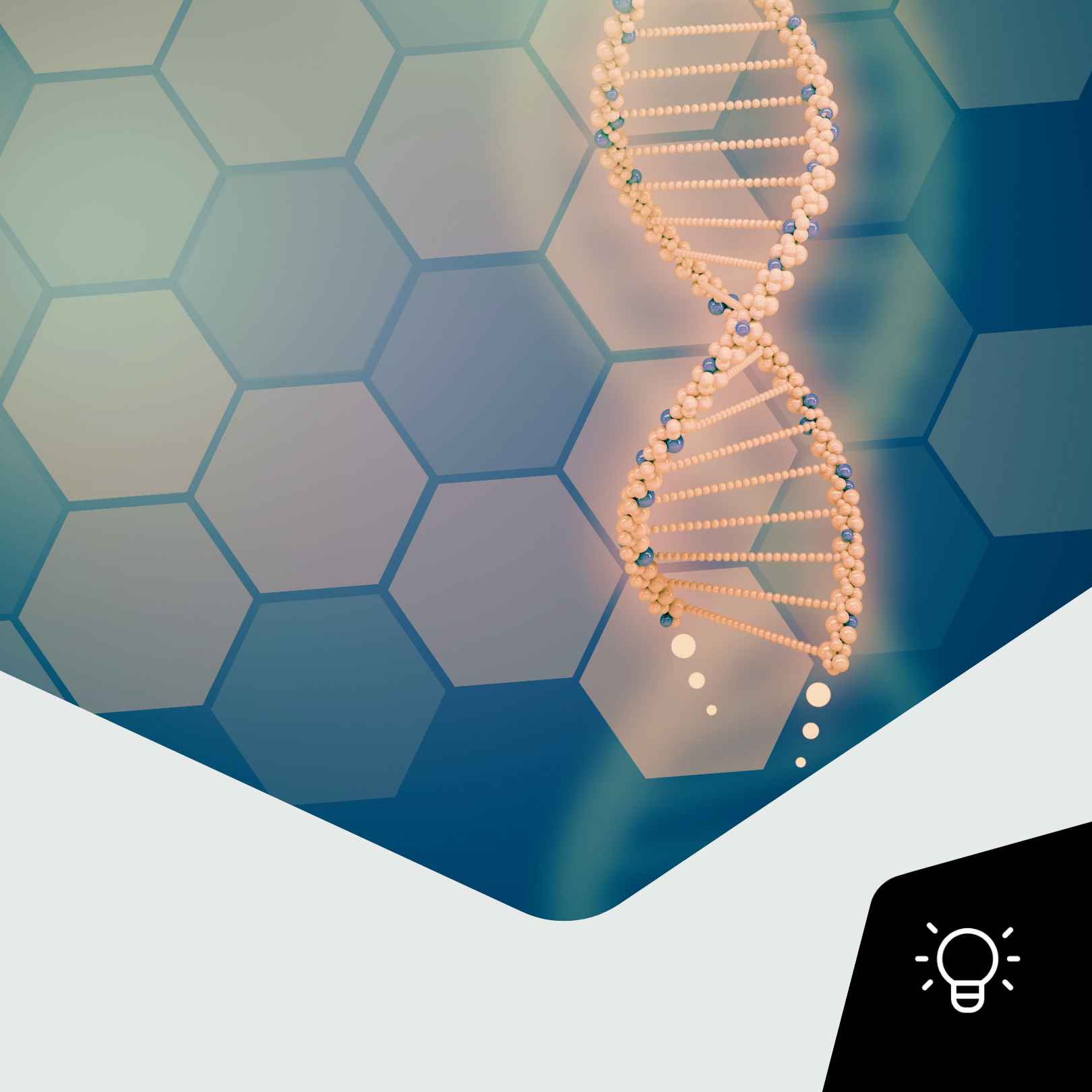 grundlagenkurs-titel