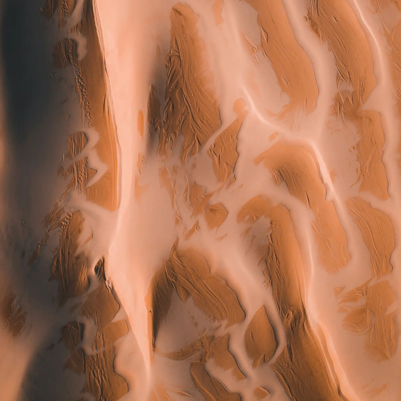 Curcumin Kapseln – Longvida® Optimised Curcumin®