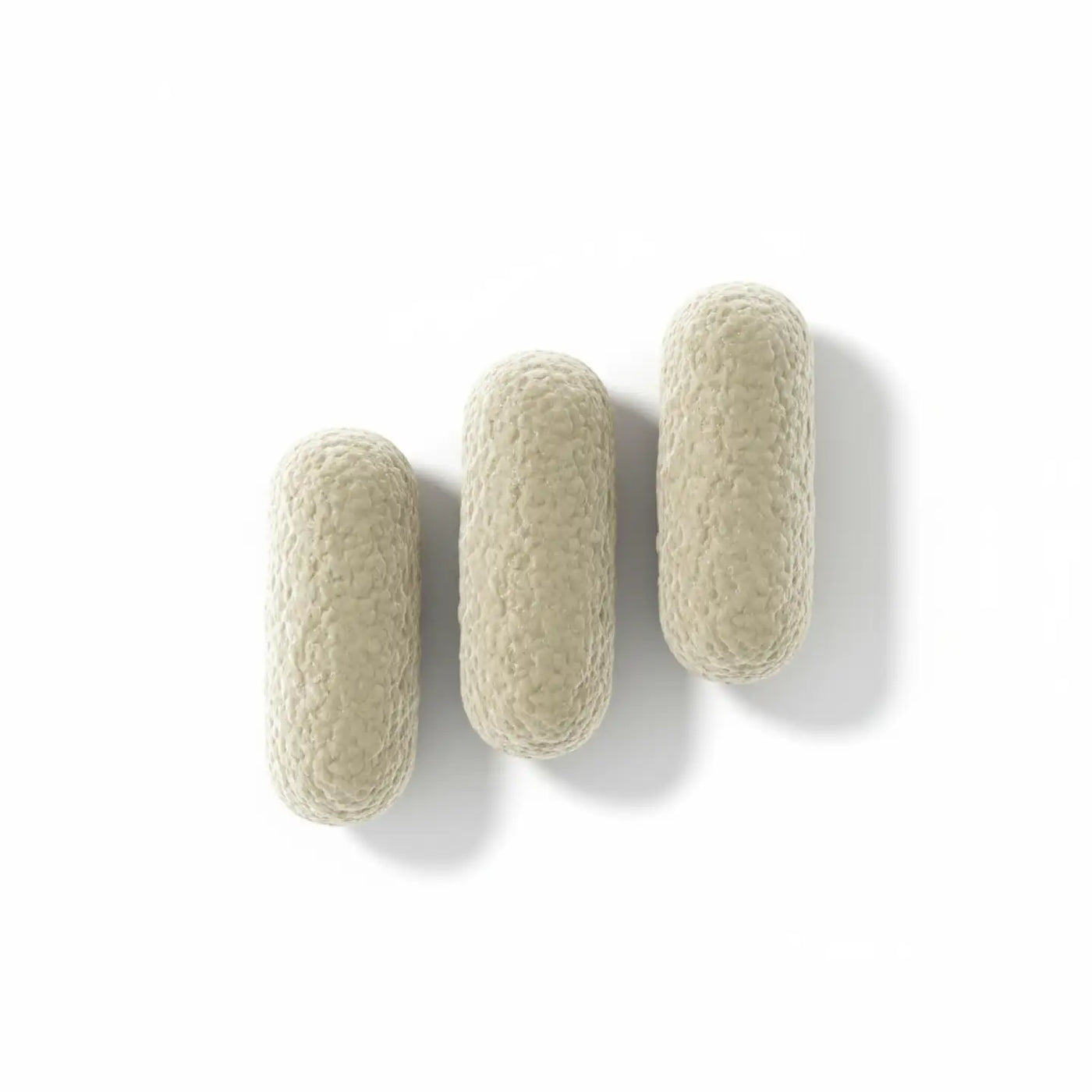 Darmbakterien Kapseln