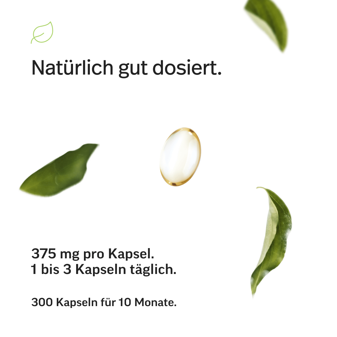 #inhalt_300 Kapseln