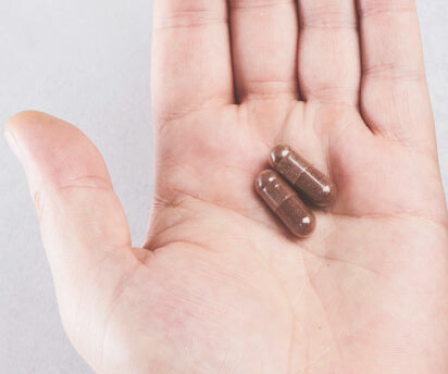 Schwarzer Knoblauch-Extrakt FBG22