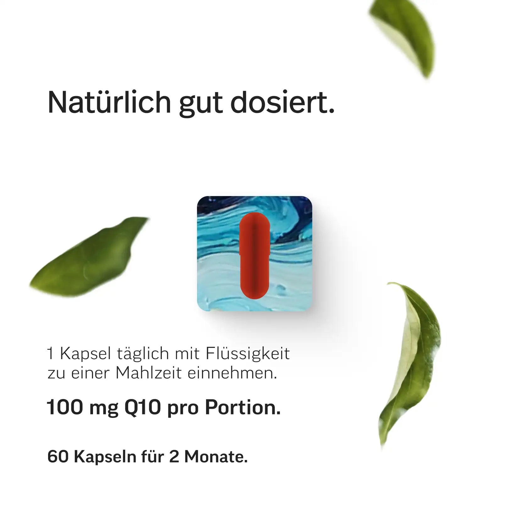 Ubiquinol Q10